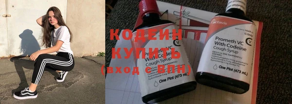 индика Кинешма