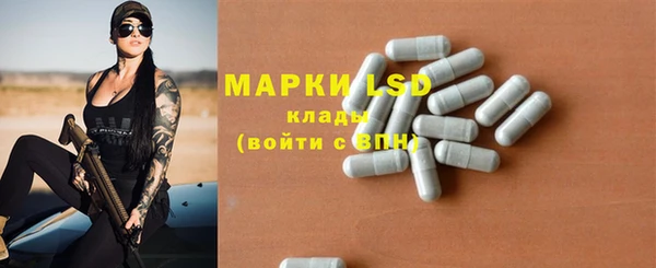 индика Кинешма