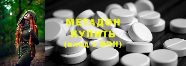 индика Кинешма