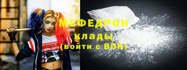 индика Кинешма