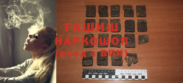 индика Кинешма