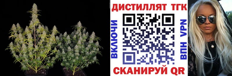Купить закладки  Высоковск  Дистиллят ТГК THC oil 