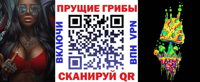 Купить закладки  Высоковск  Псилоцибиновые грибы мицелий 